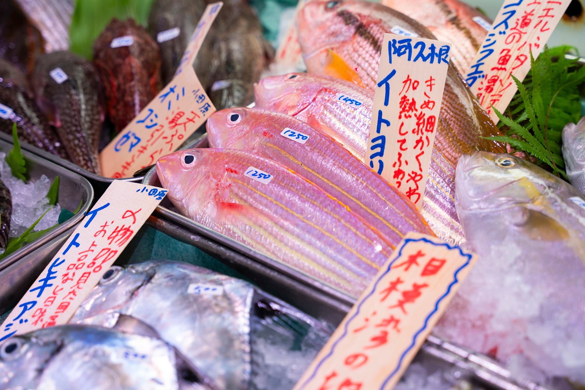 アパレルから魚屋へ。鎌倉で始めた、新しい暮らしの実験